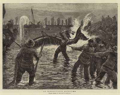 Une réception inhospitalière - William Bazett Murray